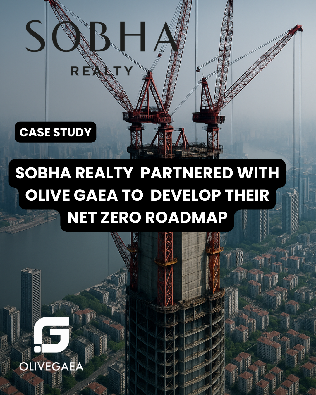 Transforming Construction: A Case Study in Sustainable Innovation